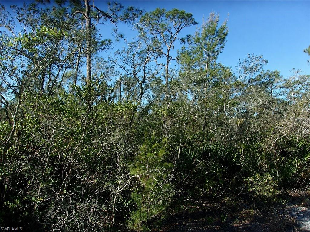 10566 Interlacher Dr Property Photo 3