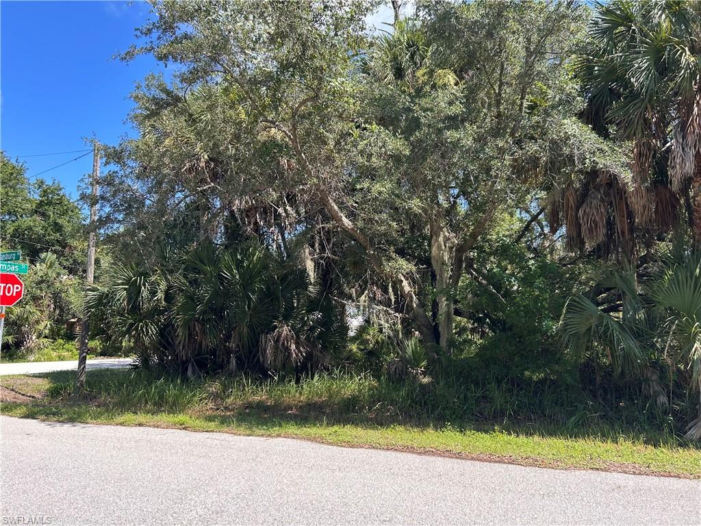26156 Hapsburg Rd Property Photo 1