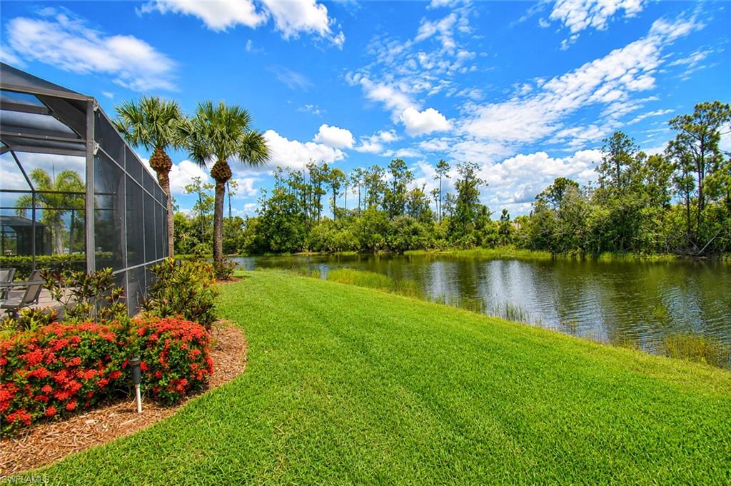 10619 Tirano Ct Property Photo 37