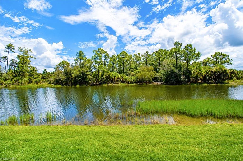 10619 Tirano Ct Property Photo 38