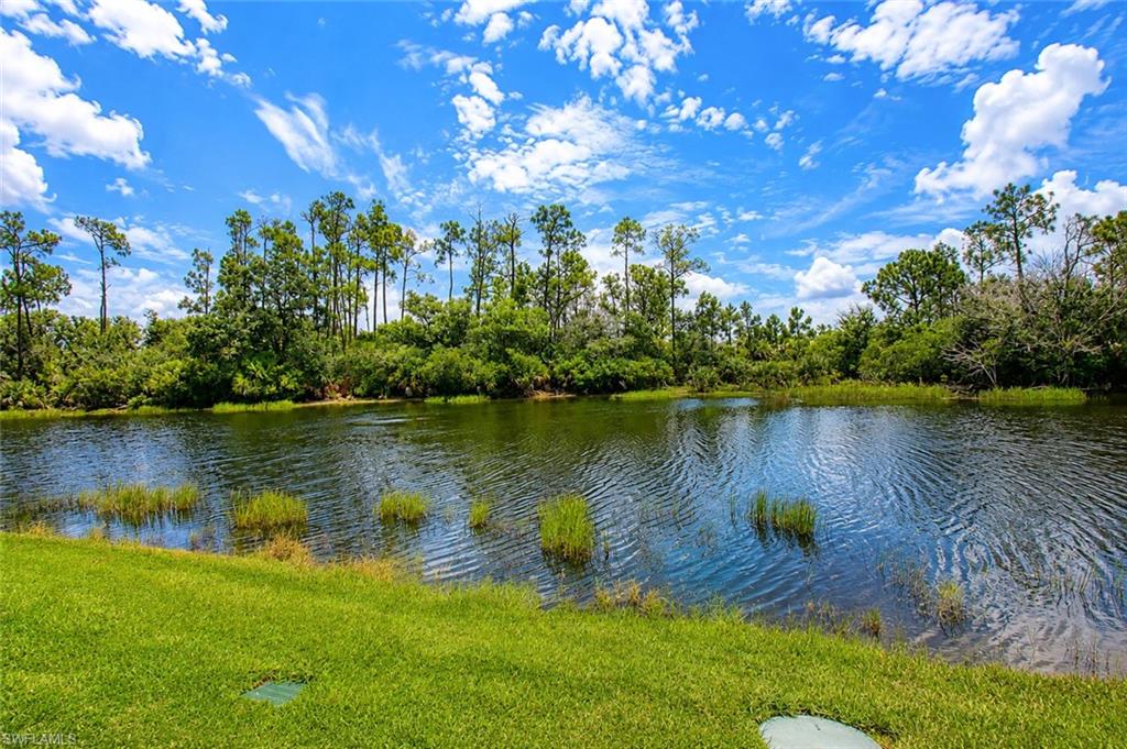 10619 Tirano Ct Property Photo 39