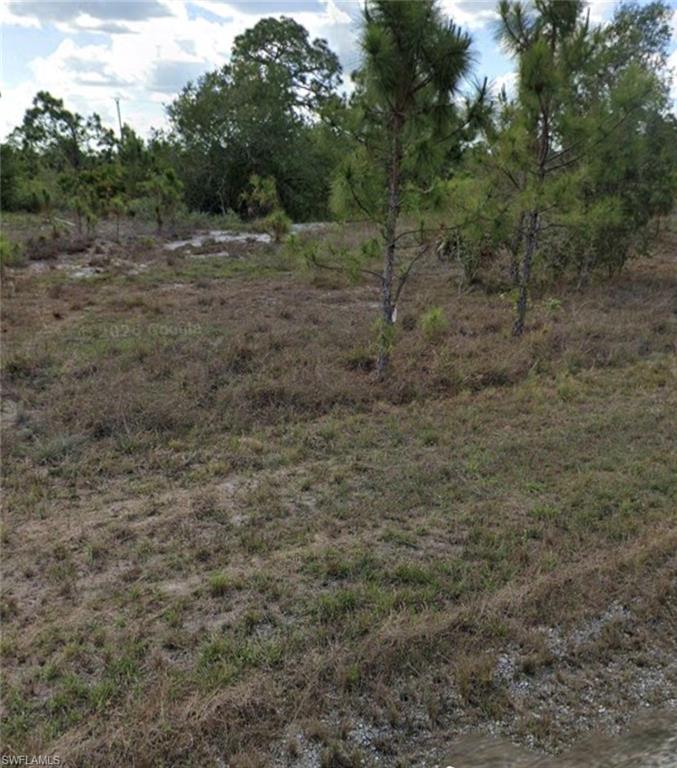 952 Kyle Ave Property Photo 2