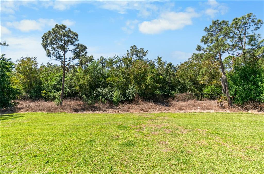 12301 Jewel Stone Ln Property Photo 28