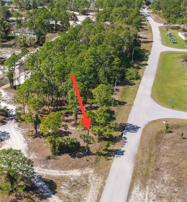 1032 Draper St Property Photo 3