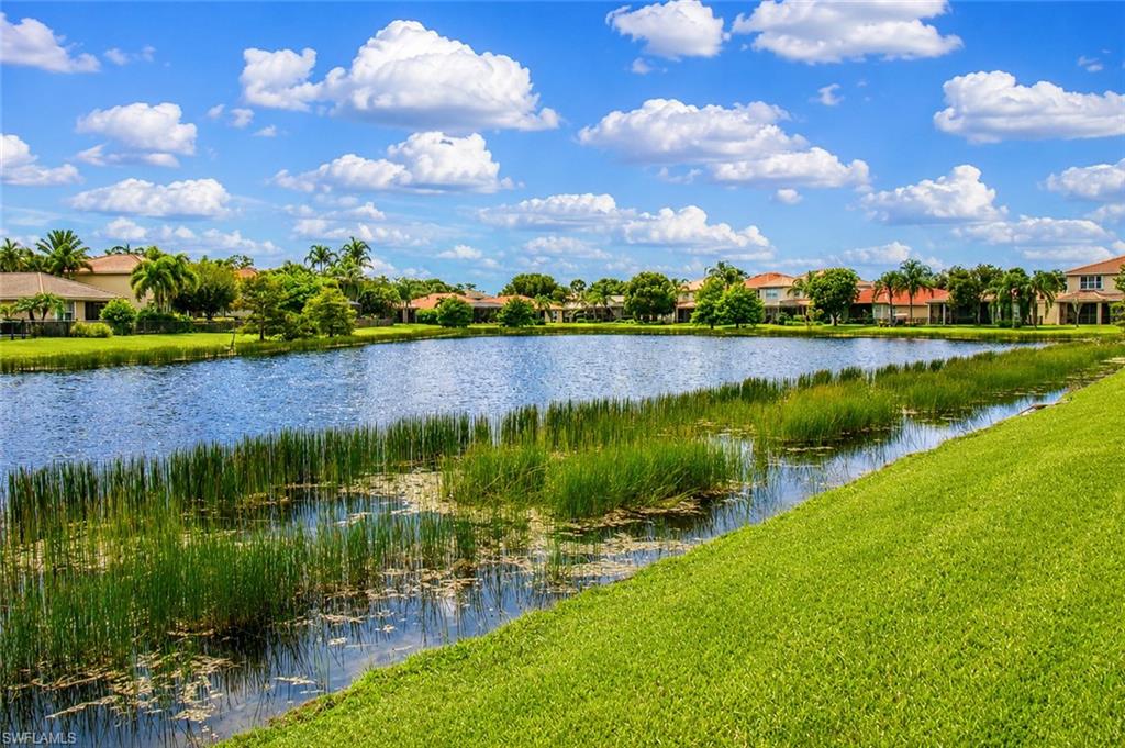 11280 Pond Cypress St Property Photo 35