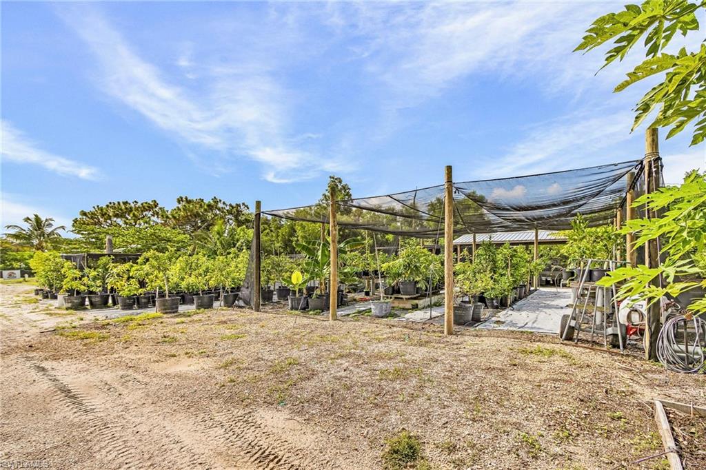 12303 Cristi Way Property Photo 14