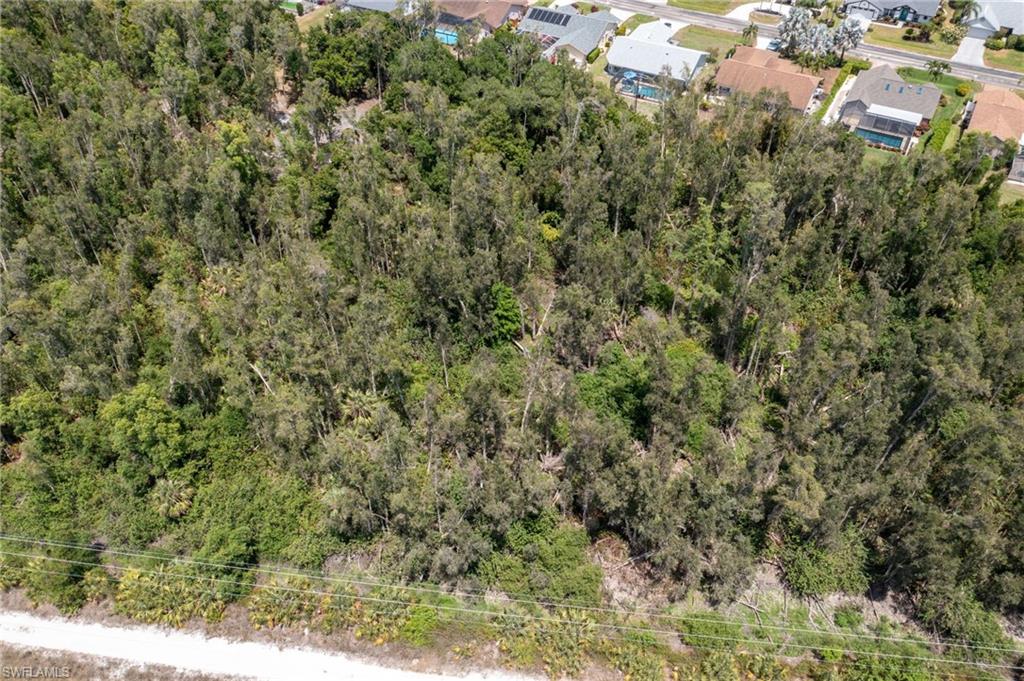 Tropicana Ave Property Photo 4