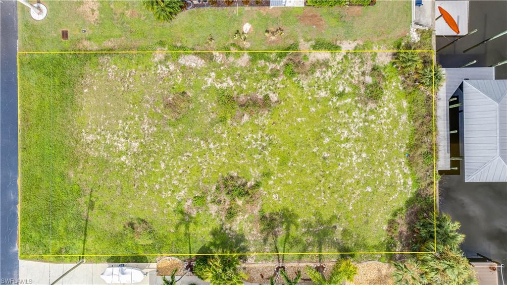 3606 Pinetree Dr Property Photo 4