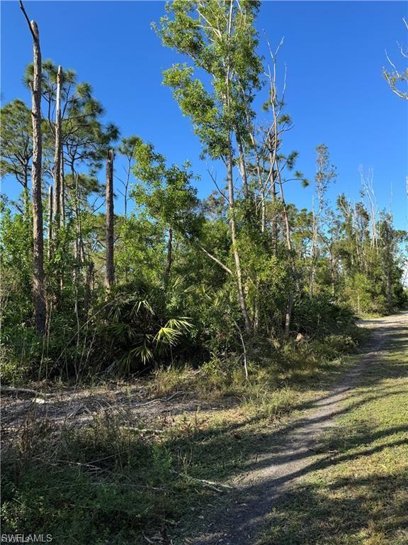 Guava Ave Property Photo 3