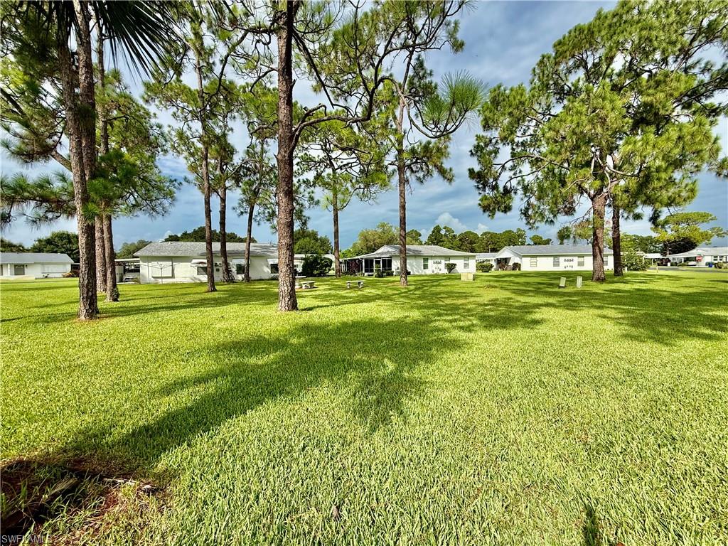 36 Heath Aster Ln Property Photo 4