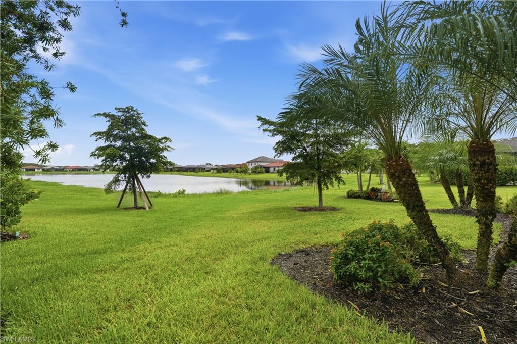11306 Shady Lake Run Property Photo 41