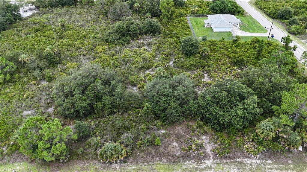 1321 Hibiscus AVE Property Photo 1