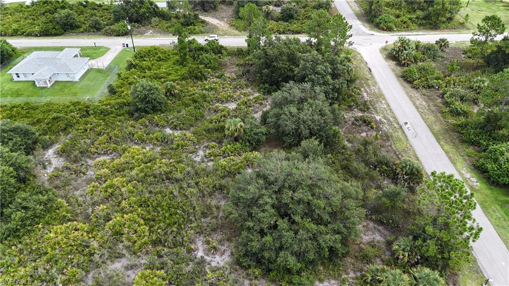 1321 Hibiscus Ave Property Photo 2