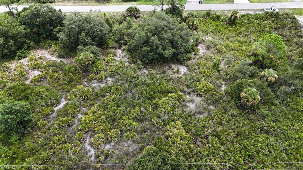 1321 Hibiscus Ave Property Photo 4