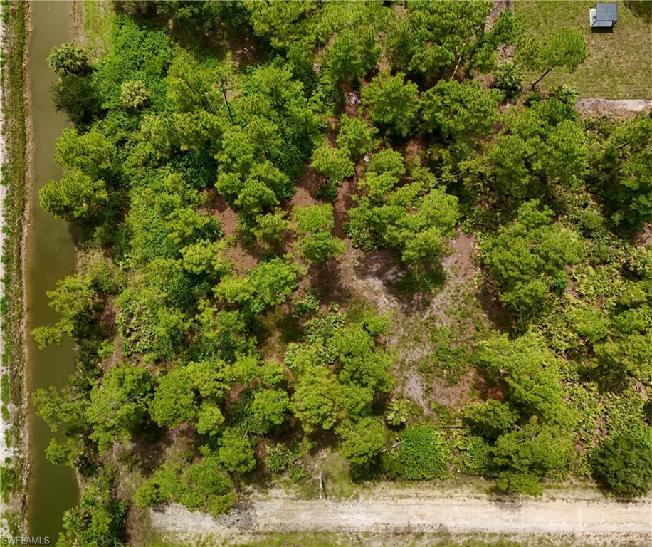 1201 Louis Ave Property Photo 4