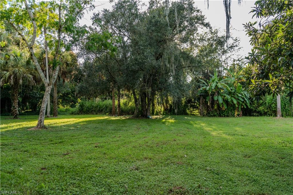 780 Washington Ave Property Photo 15