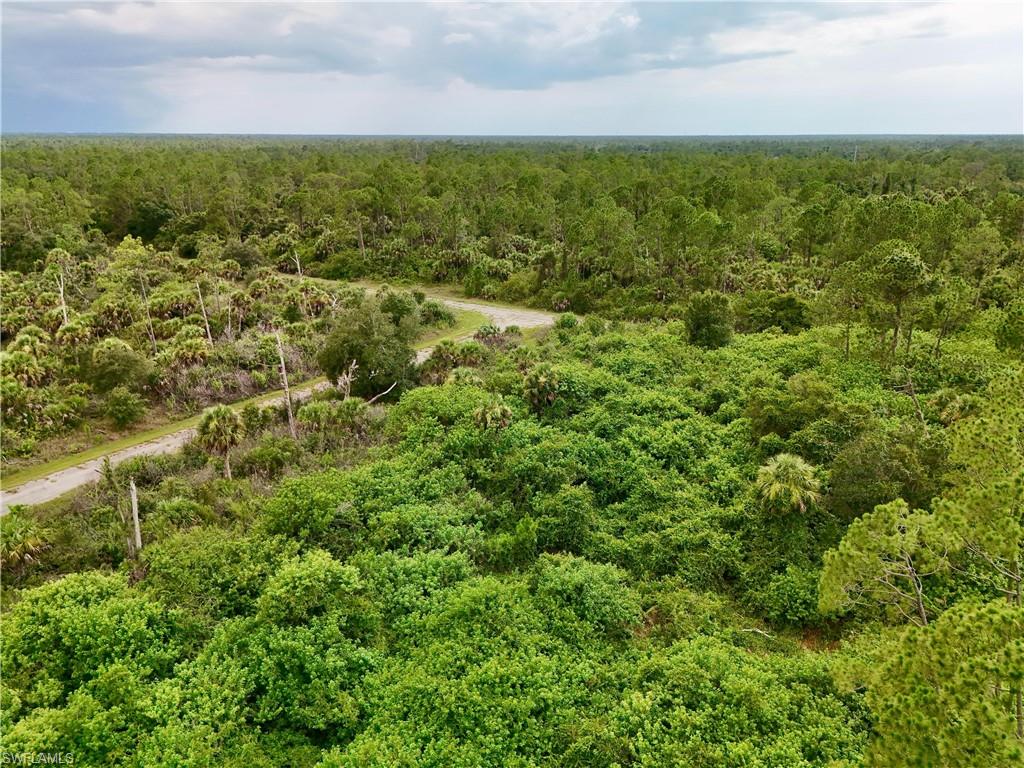 Firebird Rd Property Photo 36