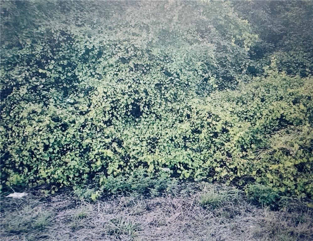 6049 Lacota AVE Property Photo 1