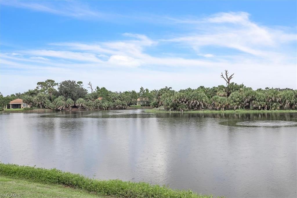 13064 Silver Thorn Loop Property Photo 24
