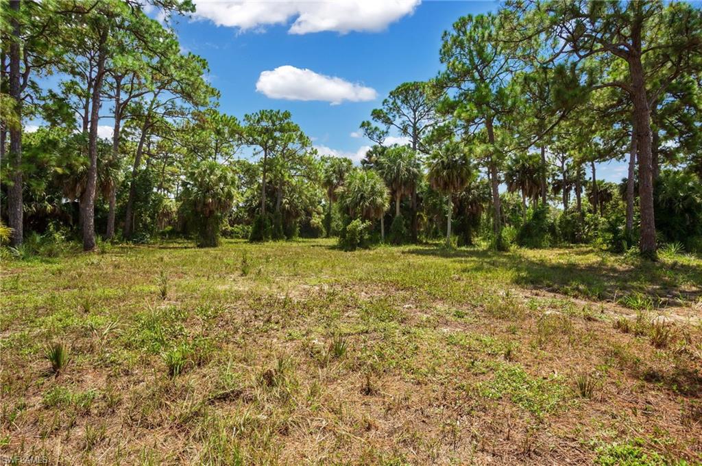 27575 Imperial Pkwy Property Photo 6