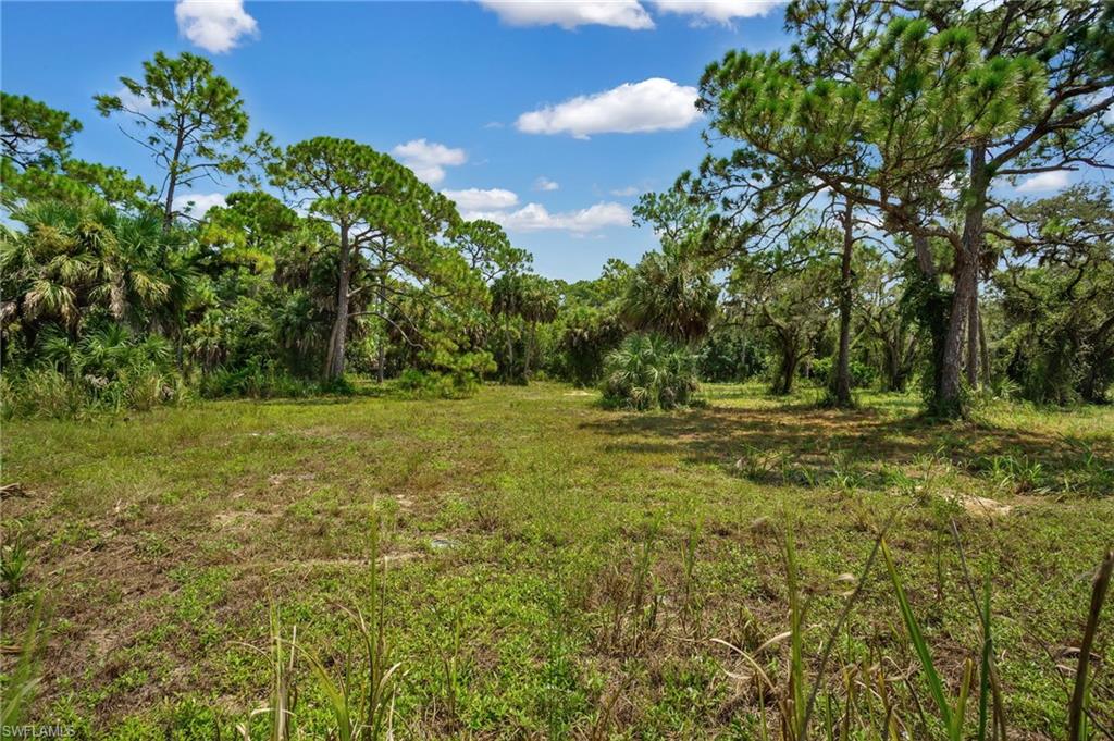 27575 Imperial Pkwy Property Photo 15