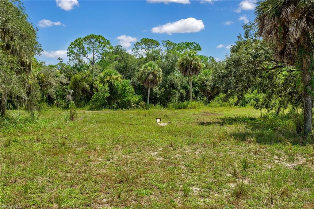 27575 Imperial Pkwy Property Photo 16