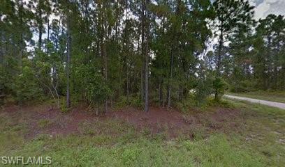 1019 Mexico Ave S Property Photo 1