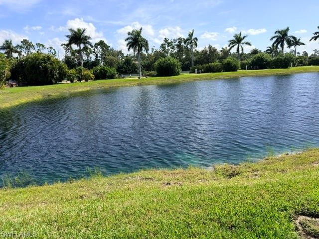 14100 Lot 63 Myakka Ave Property Photo 8