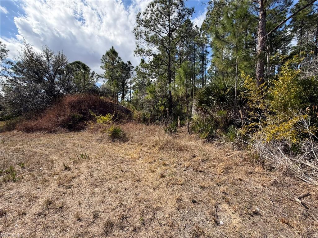 49337 Bermont Rd Property Photo 9