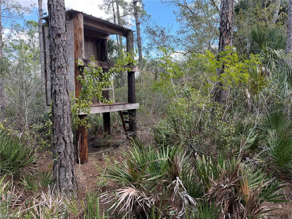 49337 Bermont Rd Property Photo 12