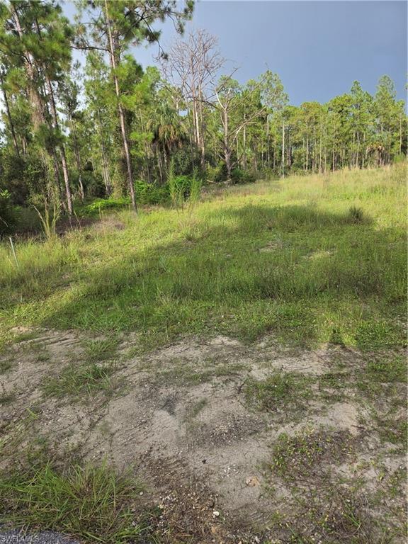 2310 Truman AVE Property Photo 1