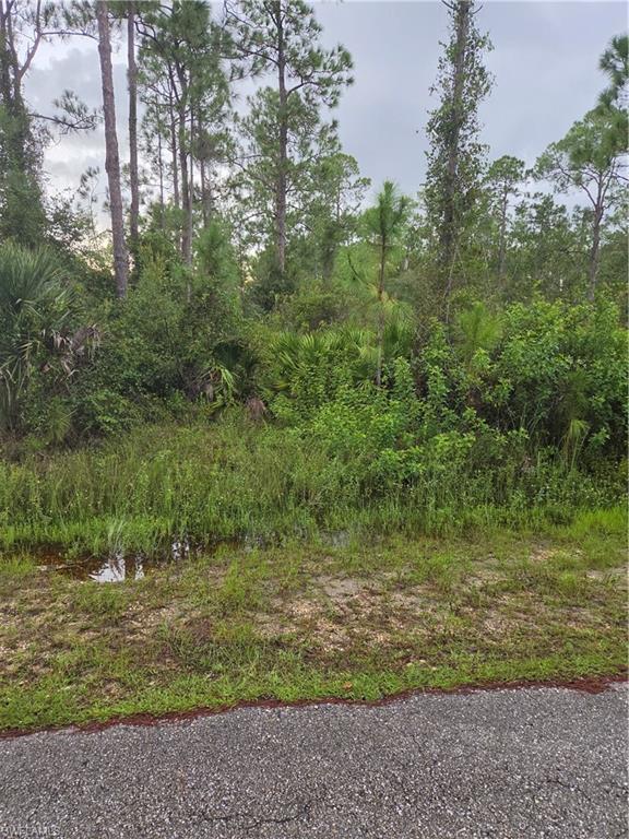 2310 Truman Ave Property Photo 3