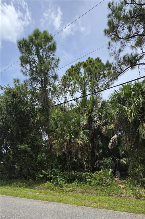 Lot #23 Twinbush Ter Property Photo 2