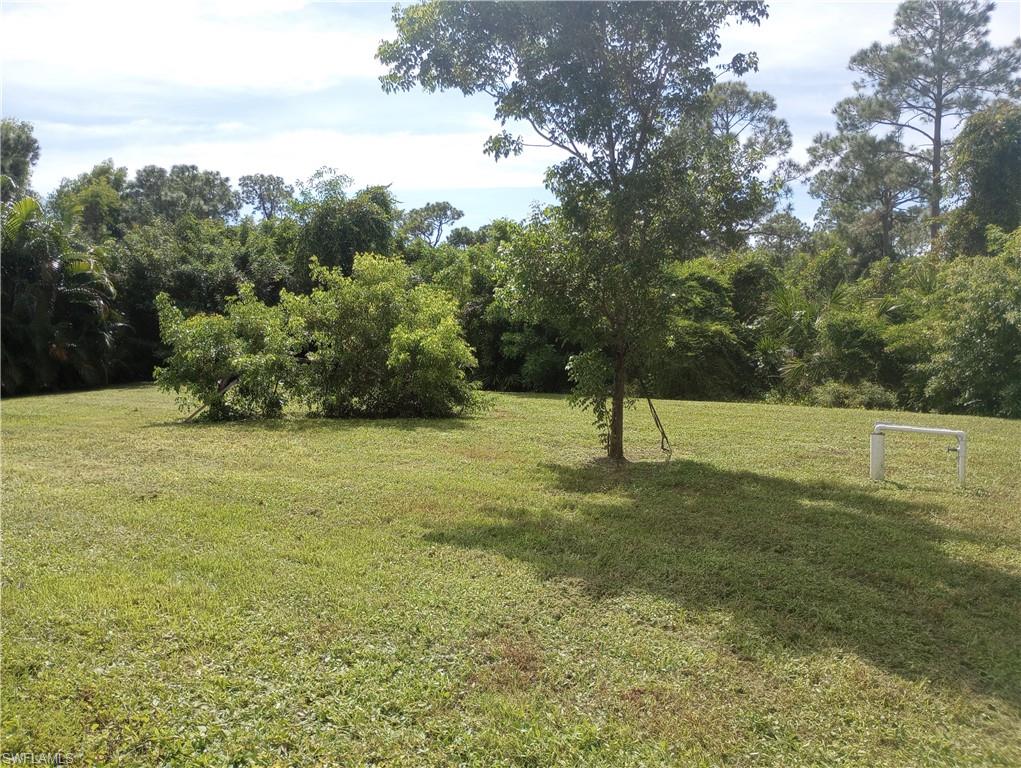 2026036004 Property Photo 15