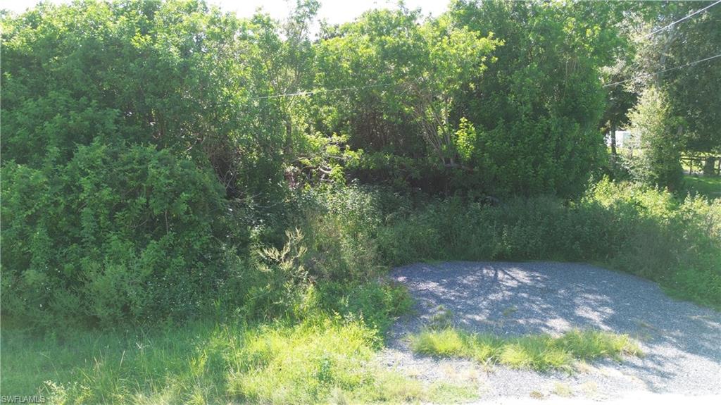 620 N Live Oak St Property Photo 1