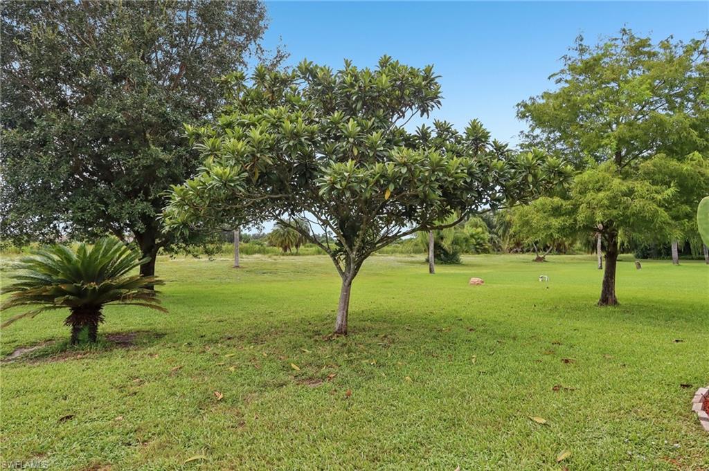 19906 Lake Vista Cir Property Photo 25