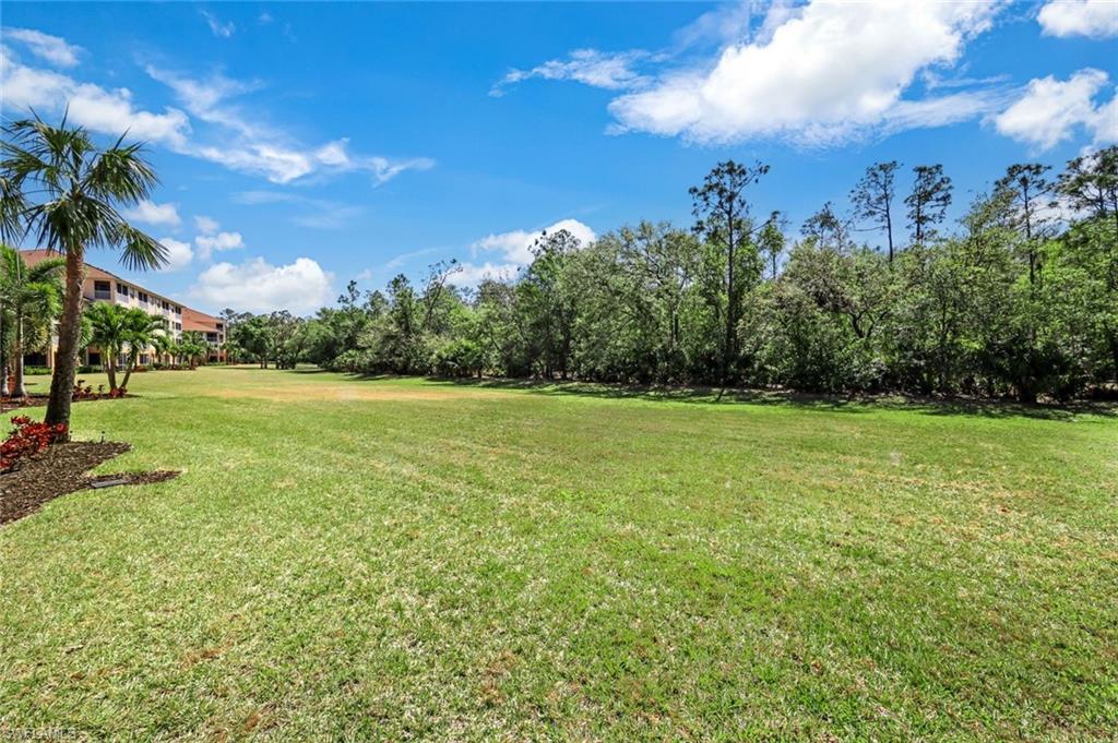 10530 Amiata Way 105 Property Photo 27