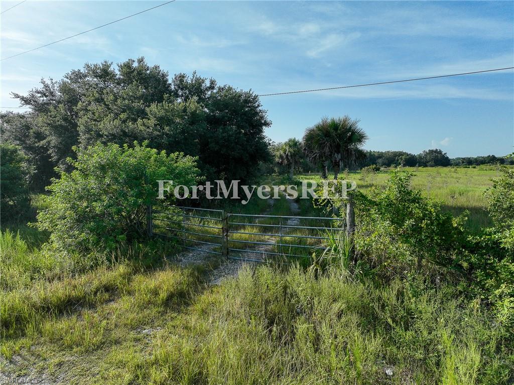 23910 Tinas Ln Property Photo 13