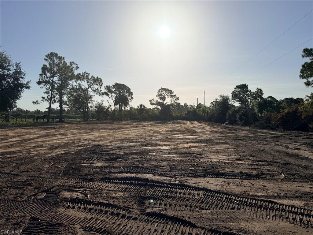 29120 Polk Dr Property Photo 4