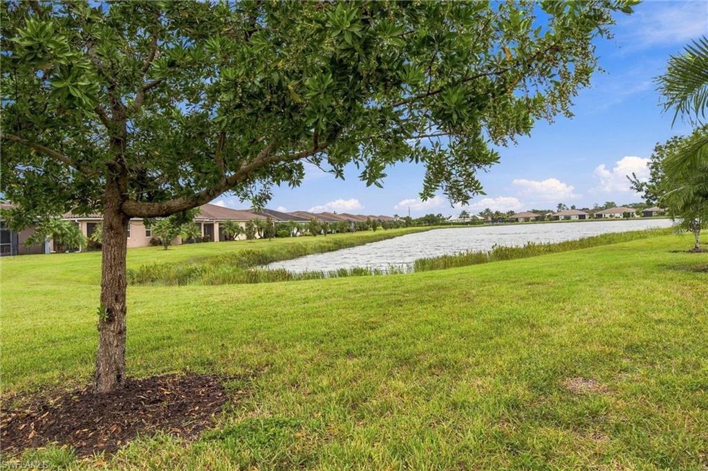 10360 Bonavie Cove Dr Property Photo 33