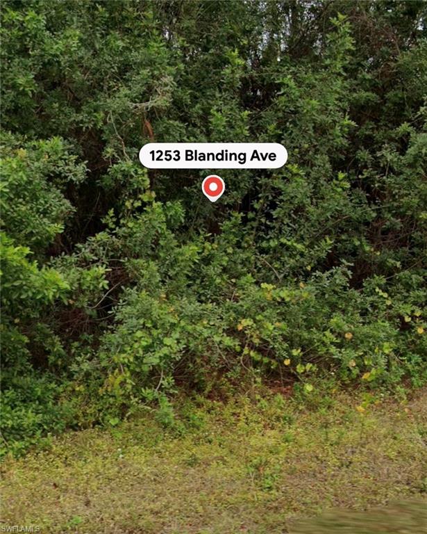 1253 Blanding Ave Property Photo 4