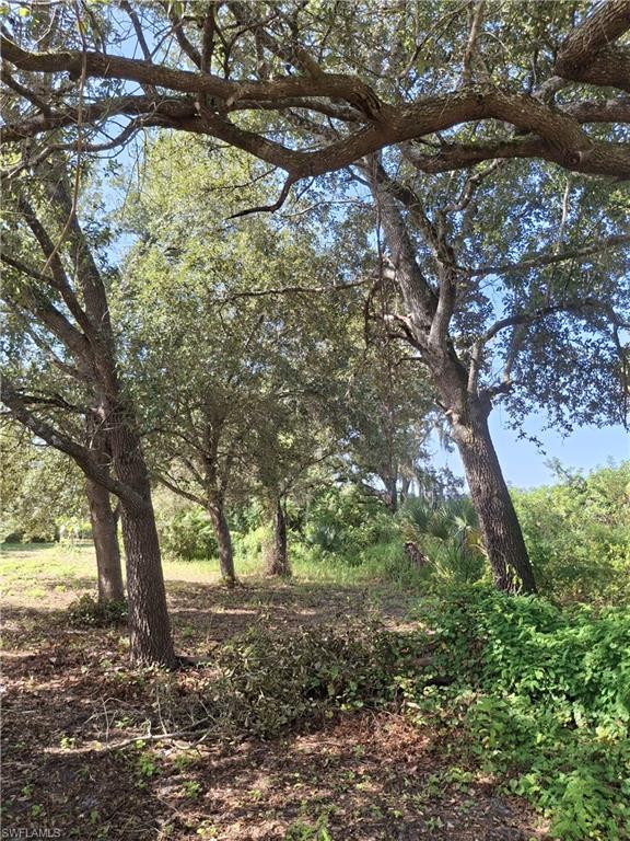 7979 22nd Pl Property Photo 2