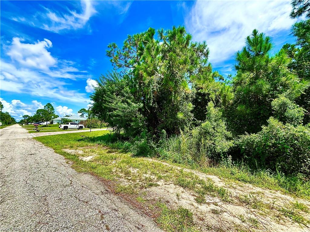 1006 Robert Ave Property Photo 3