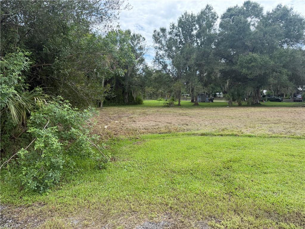 869 Avalon Ave Property Photo 6