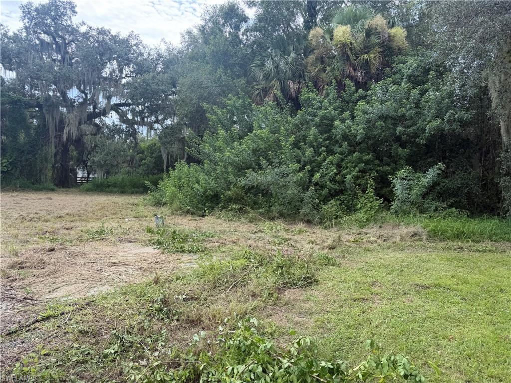 869 Avalon Ave Property Photo 9