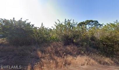568 Sherwood AVE S Property Photo 1