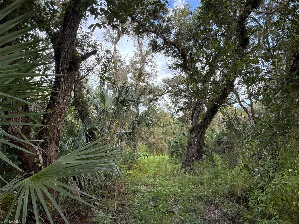 43026 L28 Canal Rd Property Photo 1