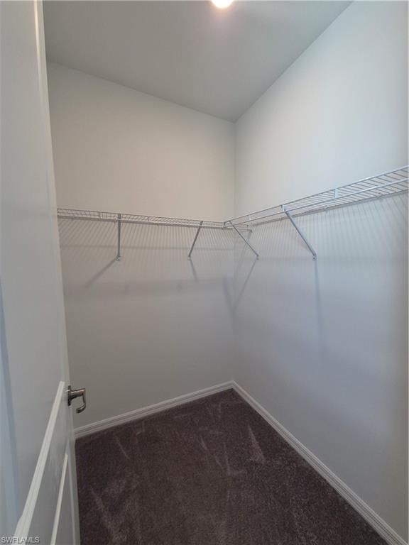 15823 Elina Sky Dr Property Photo 33