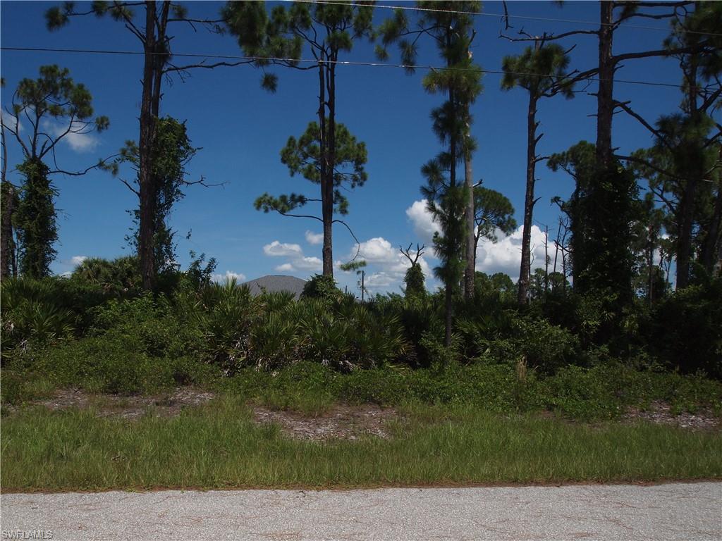 12280 Dabney Ct Property Photo 4