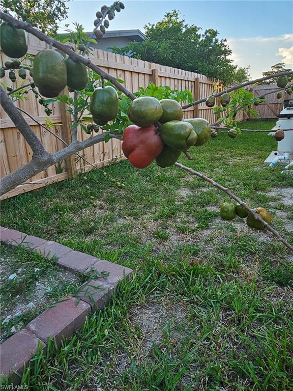 2230 Crystal Dr Property Photo 50